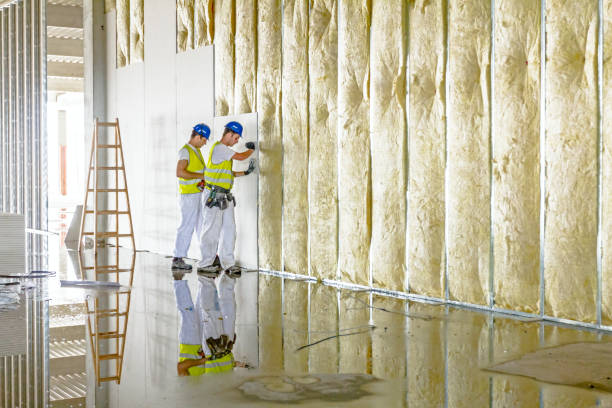 Best Types of Insulation in West Chicago, IL